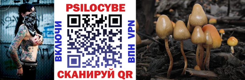 сколько стоит  Комсомольск-на-Амуре  Галлюциногенные грибы GOLDEN TEACHER 